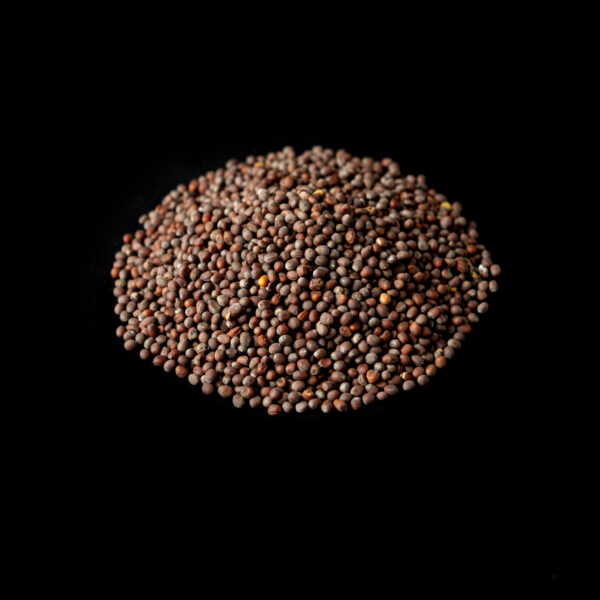 Mustard Seed, Brown - Image 2